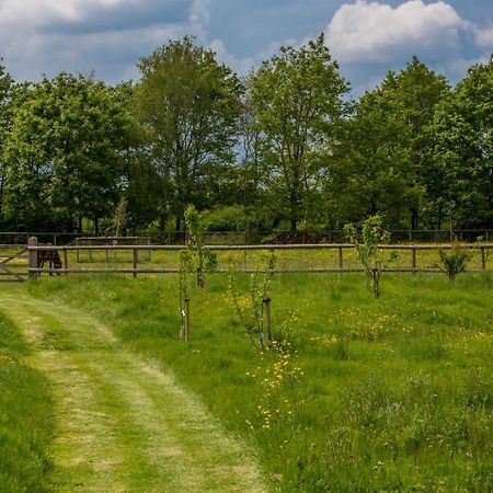 Вілла The Cowsheds Brinkworth Екстер'єр фото